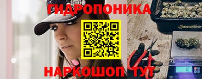 бошки Тверь