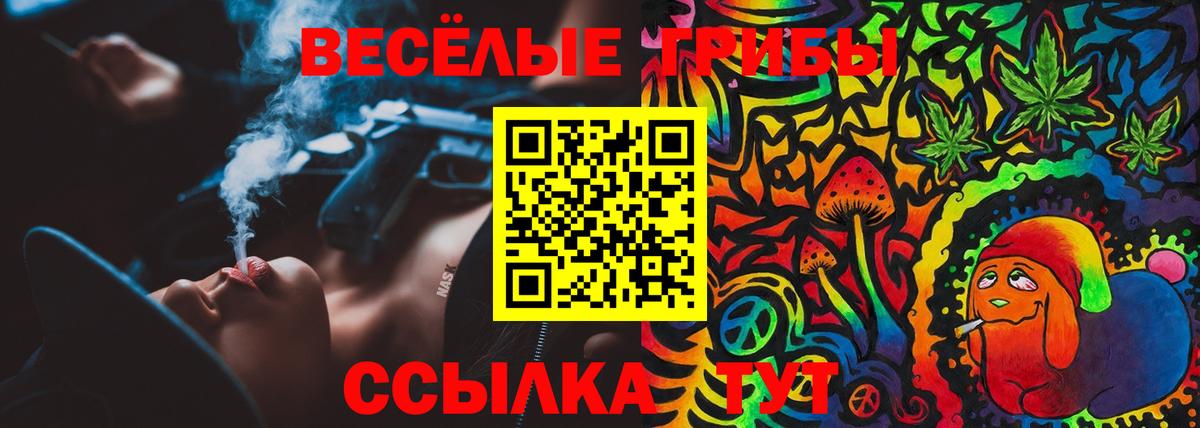 Галлюциногенные грибы мухоморы  Вход с VPN  Минеральные Воды 